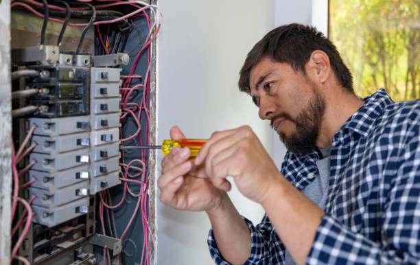 Best Electric Panel Repair  in Rossville, KS
